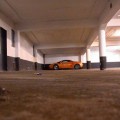 In guter Gesellschaft – Spotted: Lamborghini Gallardo