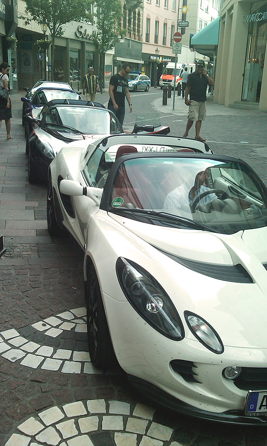Lotus in Koblenz imag0022