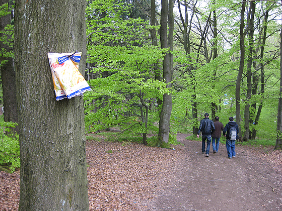 Nürburgring Nordschleife im Wald Nürburgring Nordschleife im Wald