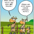 Best of: Klausi!
