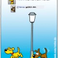 Die Plagiatoren, oder: Singleframe-Gewürzgurken